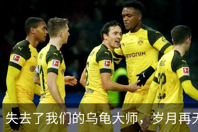 失去了我们的乌龟大师，岁月再无深沉的声音