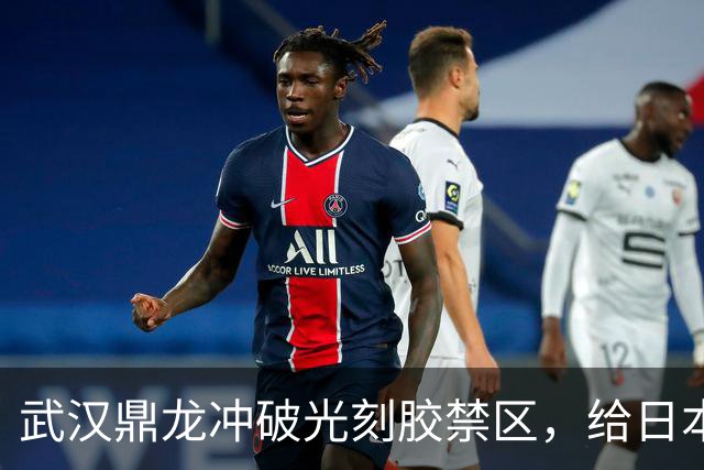 武汉鼎龙冲破光刻胶禁区，给日本企业上了一课！